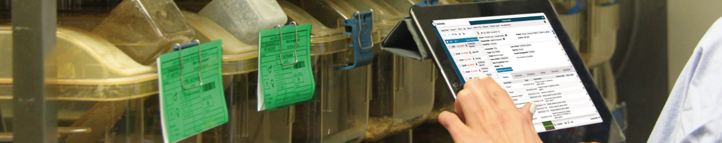 A person using a tablet in front of an animal rack